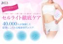 バイオエステBTB