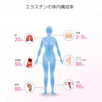 エラスチン華/えらすちん華桜モイスチャージェル美容液