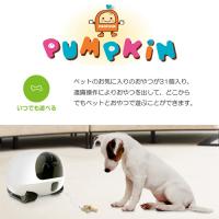 PUMPKINちゃん
