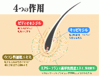 Tricho-H(トリカエイチ)