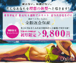 D'slim ディズリム