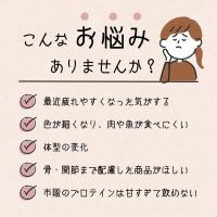 Misamisa