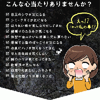 美的純炭
