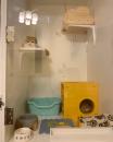 ねこホテルMOG