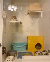 ねこホテルMOG