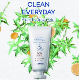 the SAEM