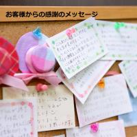 メディケアダイエット