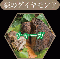 「売り切れ」チャーガ&ハニー
